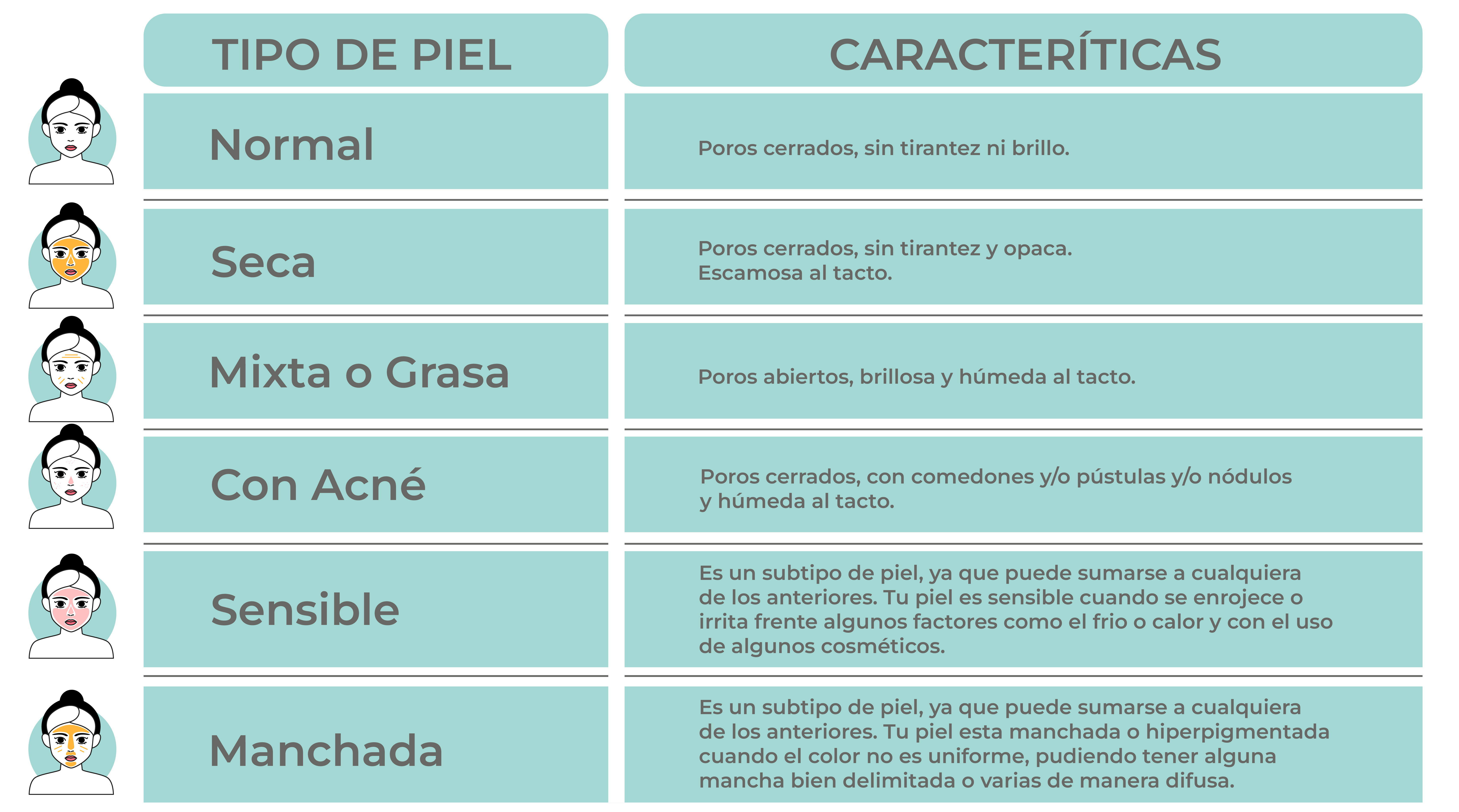 Tipos de piel